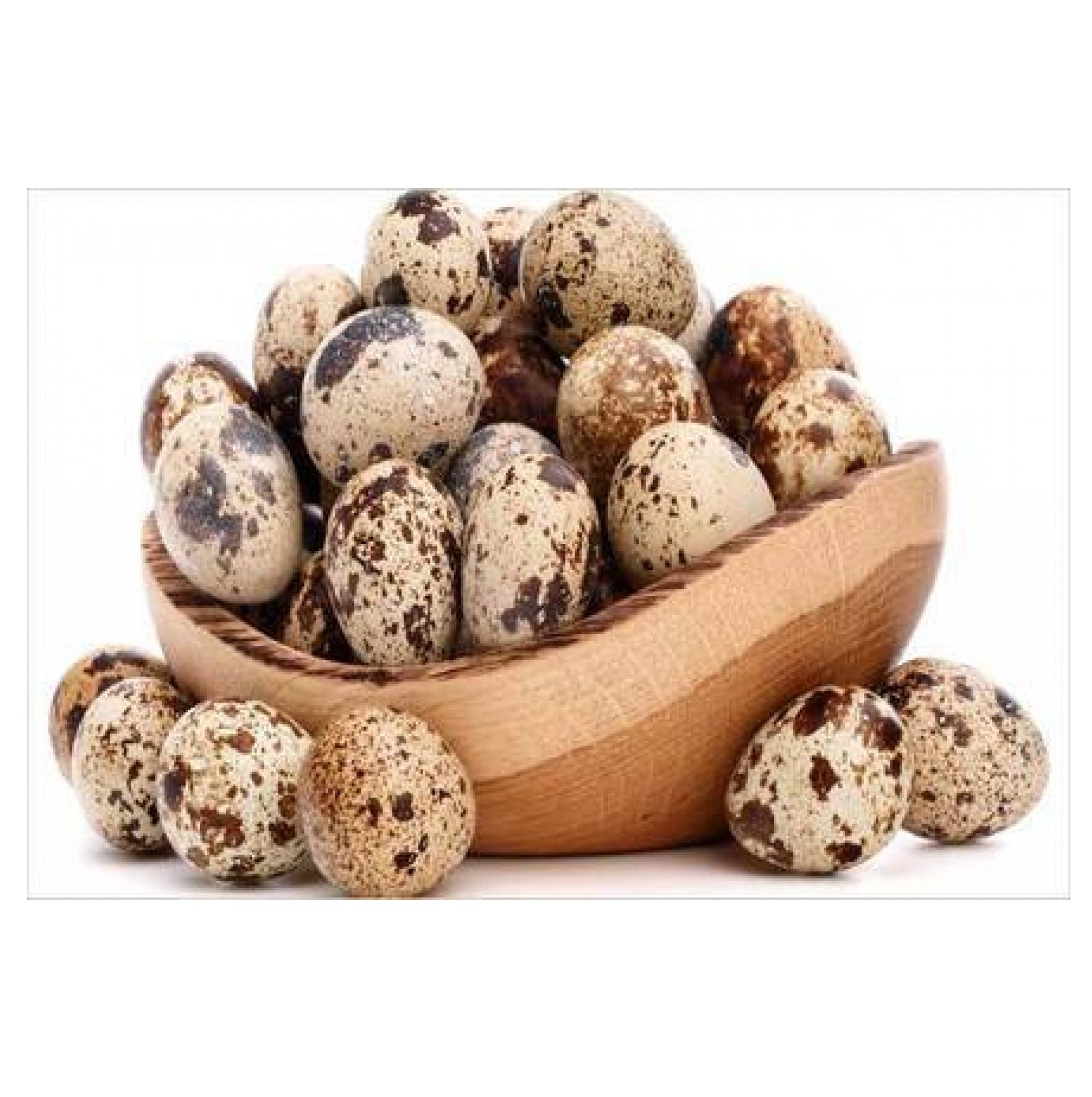 Organic Premium Best Quality Quail Egg from Indian Supplier and Exporter for Wholesale at Wholesale price