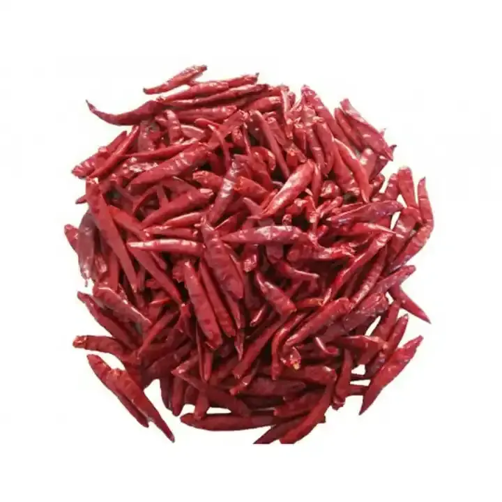 Indian Red Chili whole Single Spices Hot Spicy Teja Quality s17 Red chilli for Cooking Ingredients Available at Best Price