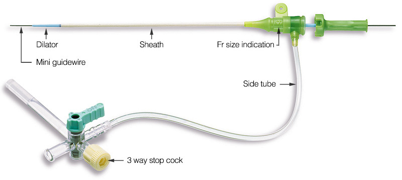 Introducer Sheath