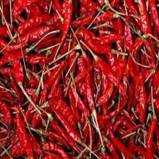 DRIED RED CHILLIES PRICE