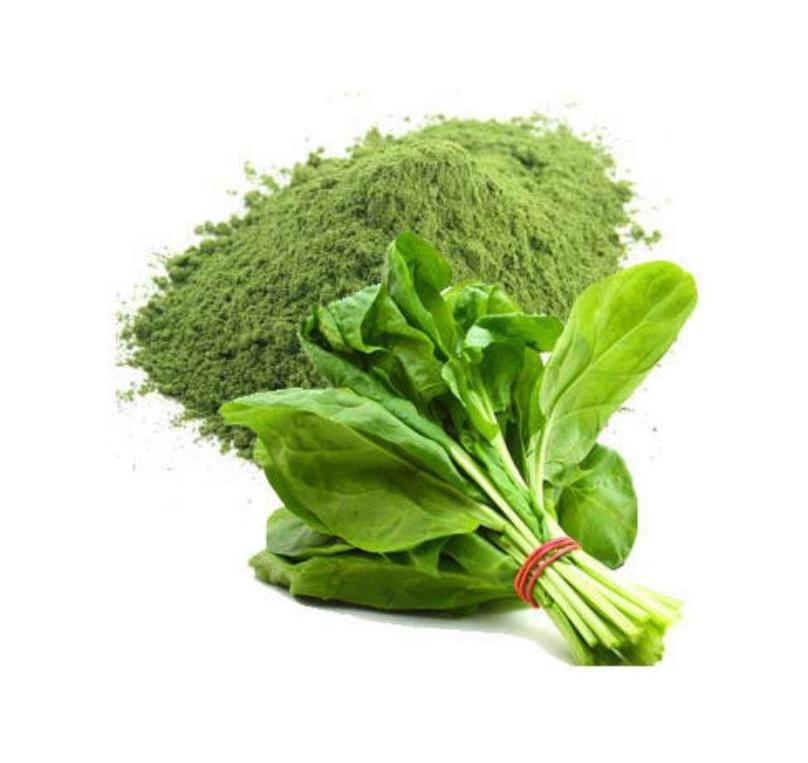 Quality Assured spinach powder 100% Pure & Naturally Made powder For Multi Purpose Uses By Indian Exporters