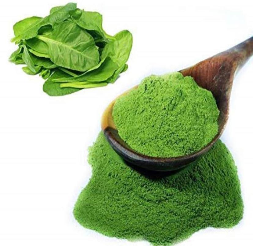 Quality Assured spinach powder 100% Pure & Naturally Made powder For Multi Purpose Uses By Indian Exporters