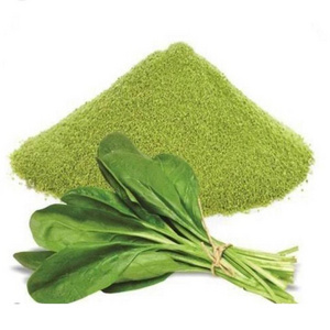 Quality Assured spinach powder 100% Pure & Naturally Made powder For Multi Purpose Uses By Indian Exporters