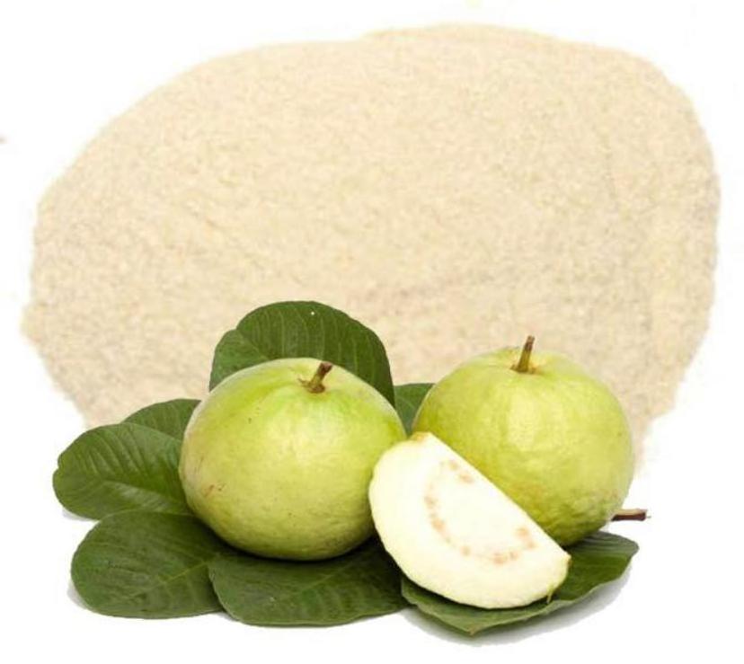 Quality Assured Guava powder 100% Pure & Naturally Made powder For Multi Purpose  By Indian Exporters