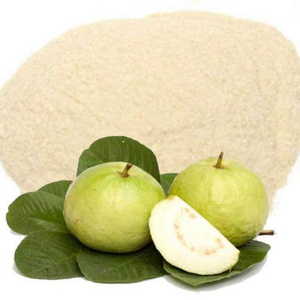 Quality Assured Guava powder 100% Pure & Naturally Made powder For Multi Purpose  By Indian Exporters