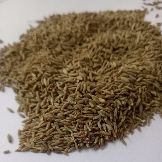 SINGAPORE QUALITY 99% PURITY HOT SELLING INDIAN CUMIN SEEDS FOR SALE BY EXPORTERS