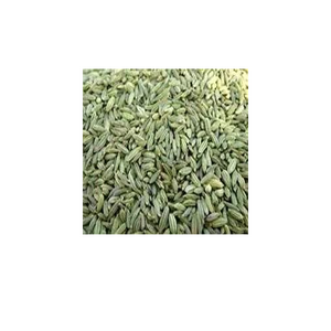 Newly Seller Fennel Seed with Fresh Quality & Naturally Made Food Grade Seed By Indian Exporters Low Prices