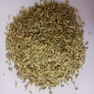 99 PERCENT PURITY NATURAL 2023 CROP GREEN FENNEL SEEDS FOR SALE BY EXPORTERS AT VERY COMPETITIVE PRICE