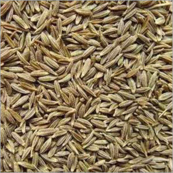 TOP QUALITY 99% EUROPEAN QUALITY SEASONING CUMIN SEED FROM INDIA FOR SALE BY EXPORTERS