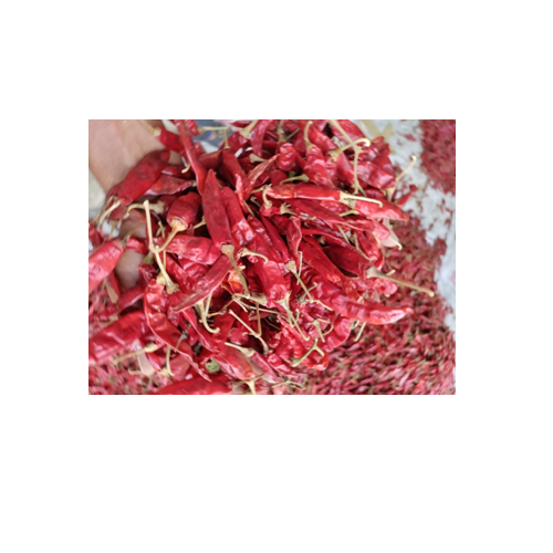 Direct Factory Prices Sanam Red Chillis with Fresh Quality & Naturally Made Chilli For Sale By Exporters