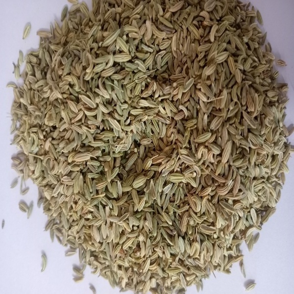 99 PERCENT PURITY NATURAL 2023 CROP GREEN FENNEL SEEDS FOR SALE BY EXPORTERS AT VERY COMPETITIVE PRICE