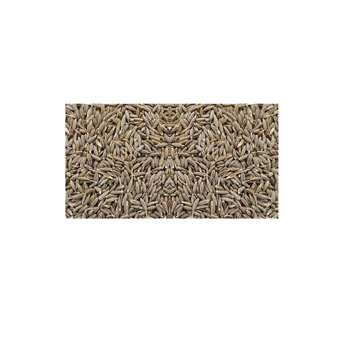 OEM Privet Label Cumin Seed with Fresh Quality & Naturally Made Food Grade Seed By Indian Exporters Low Prices