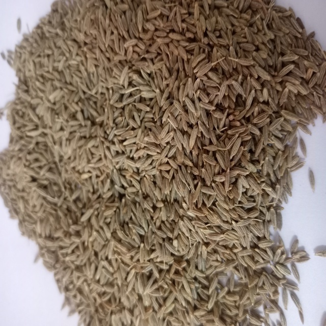 SINGAPORE QUALITY 99% PURITY HOT SELLING INDIAN CUMIN SEEDS FOR SALE BY EXPORTERS