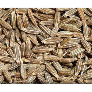 SINGAPORE QUALITY 99% PURITY HOT SELLING INDIAN CUMIN SEEDS FOR SALE BY EXPORTERS