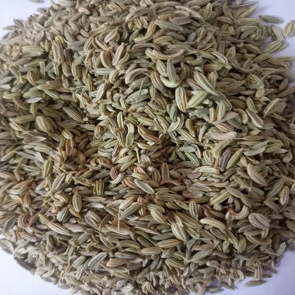 99 PERCENT PURITY NATURAL 2023 CROP GREEN FENNEL SEEDS FOR SALE BY EXPORTERS AT VERY COMPETITIVE PRICE