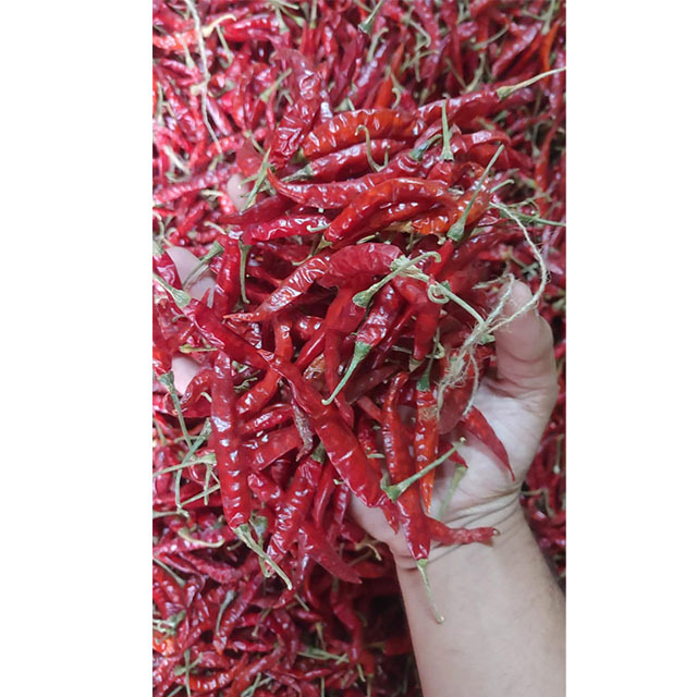 Red Whole Chilli Produced in Indian Agricultural Farm Best Dry Red Chilli Wholesale Price by Exporters