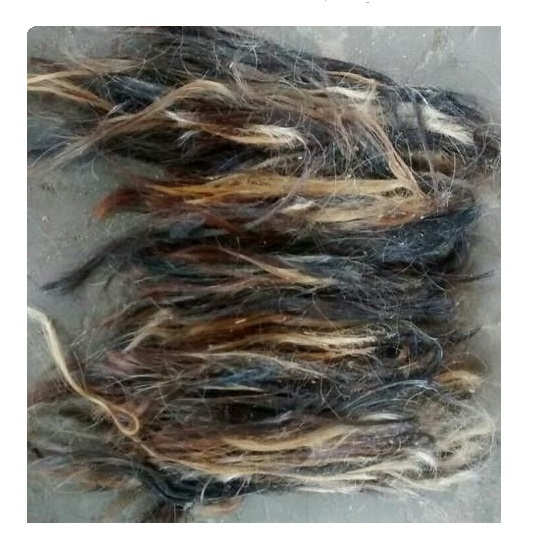 hot selling high quality buffalo and ox tail hair and also washing tail hair and dressing cow and buffalo tail hair