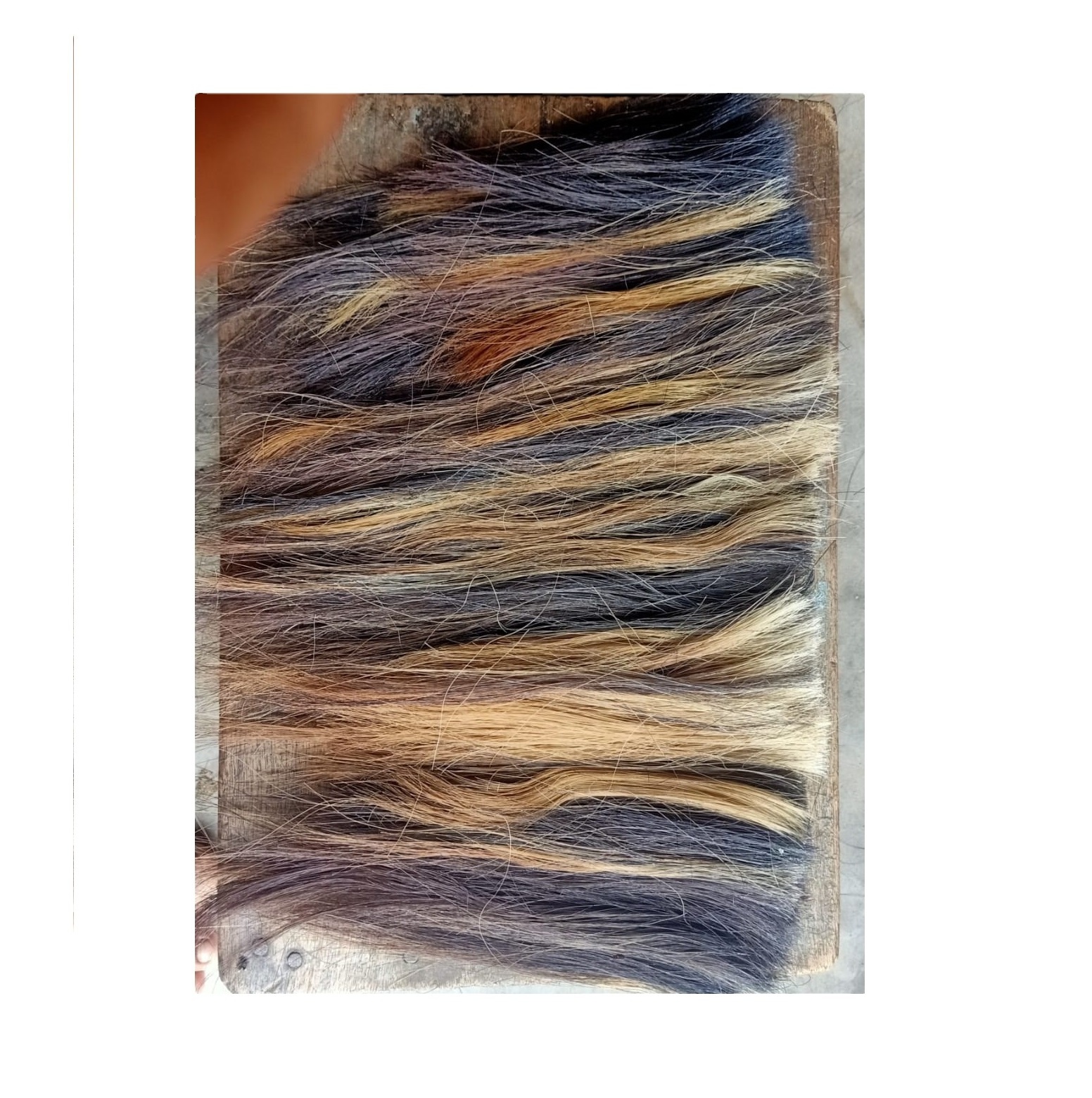 hot selling high quality buffalo and ox tail hair and also washing tail hair and dressing cow and buffalo tail hair