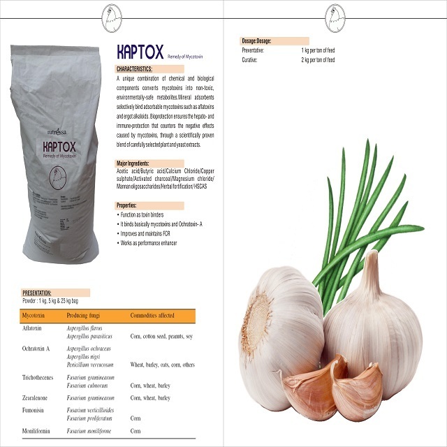 bets quality NEW TOXIN BINDER FOR GUT HEALTH FOR POULTRY manufacture and supplier from india