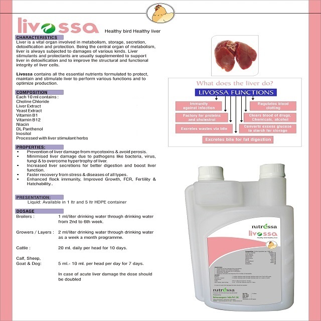 TOP BRAND VETERINARY LIVER TONIC LIVOSSA FOR LIVER INFECTION MANUFACTURE AND SUPPLIER FROM INDIA