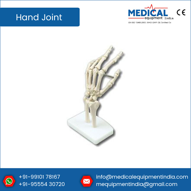 Artificial Life-Size Human Hand Joint Model Teaching Anatomical Hand Joint Custom Made PVC Hand Skeleton Model