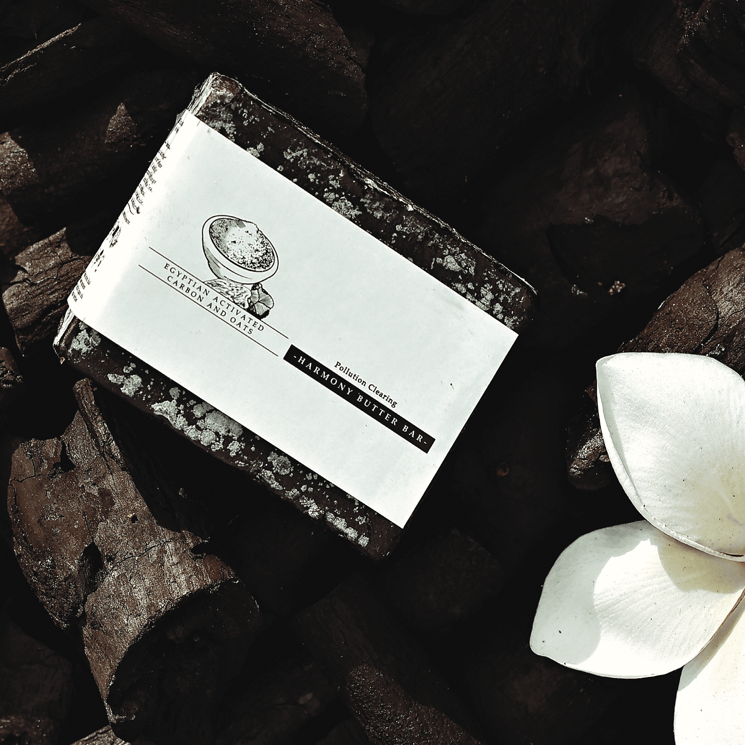 Timeless Beauty Secrets Organic Activated Charcoal and Oats Anti-pollution Handmade Soap Private Label Beauty Products Soap