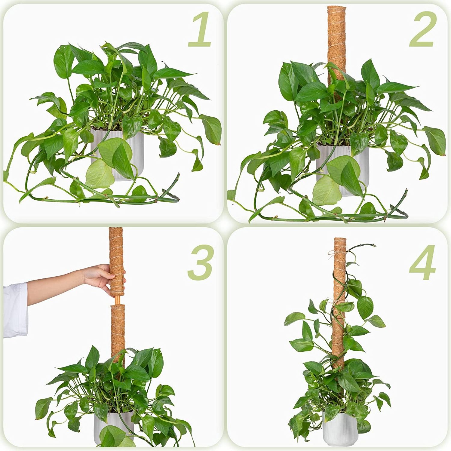 Best Selling Natural Coir Moss Stick for Gardening Coir Moss Stick Coco Pole for Climbing Indoor Money Plants