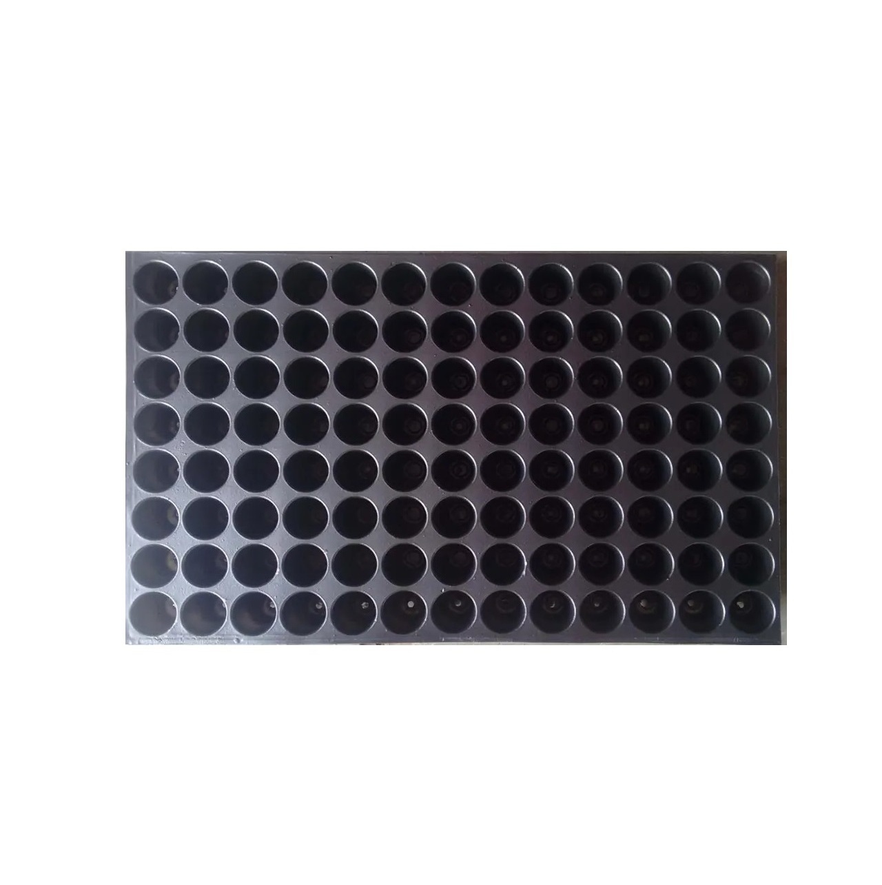 Wholesale Supply Customized Holes Seedling Tray for Field Planting Without Disturbing 	Seedling Tray