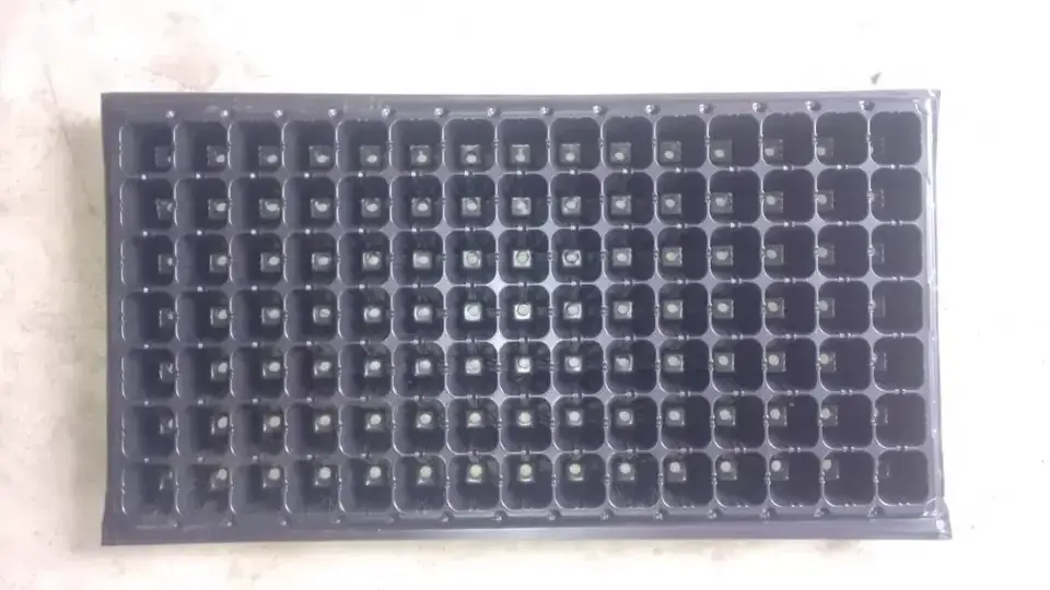 Wholesale Supply Customized Holes Seedling Tray for Field Planting Without Disturbing 	Seedling Tray