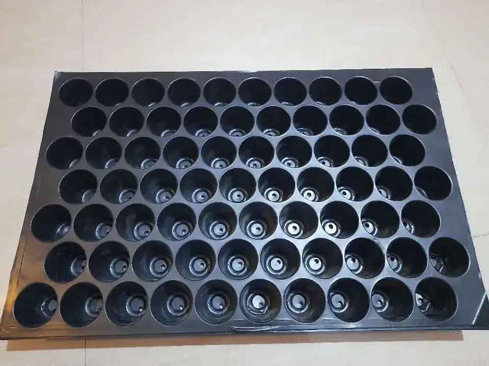 Wholesale Supply Customized Holes Seedling Tray for Field Planting Without Disturbing 	Seedling Tray