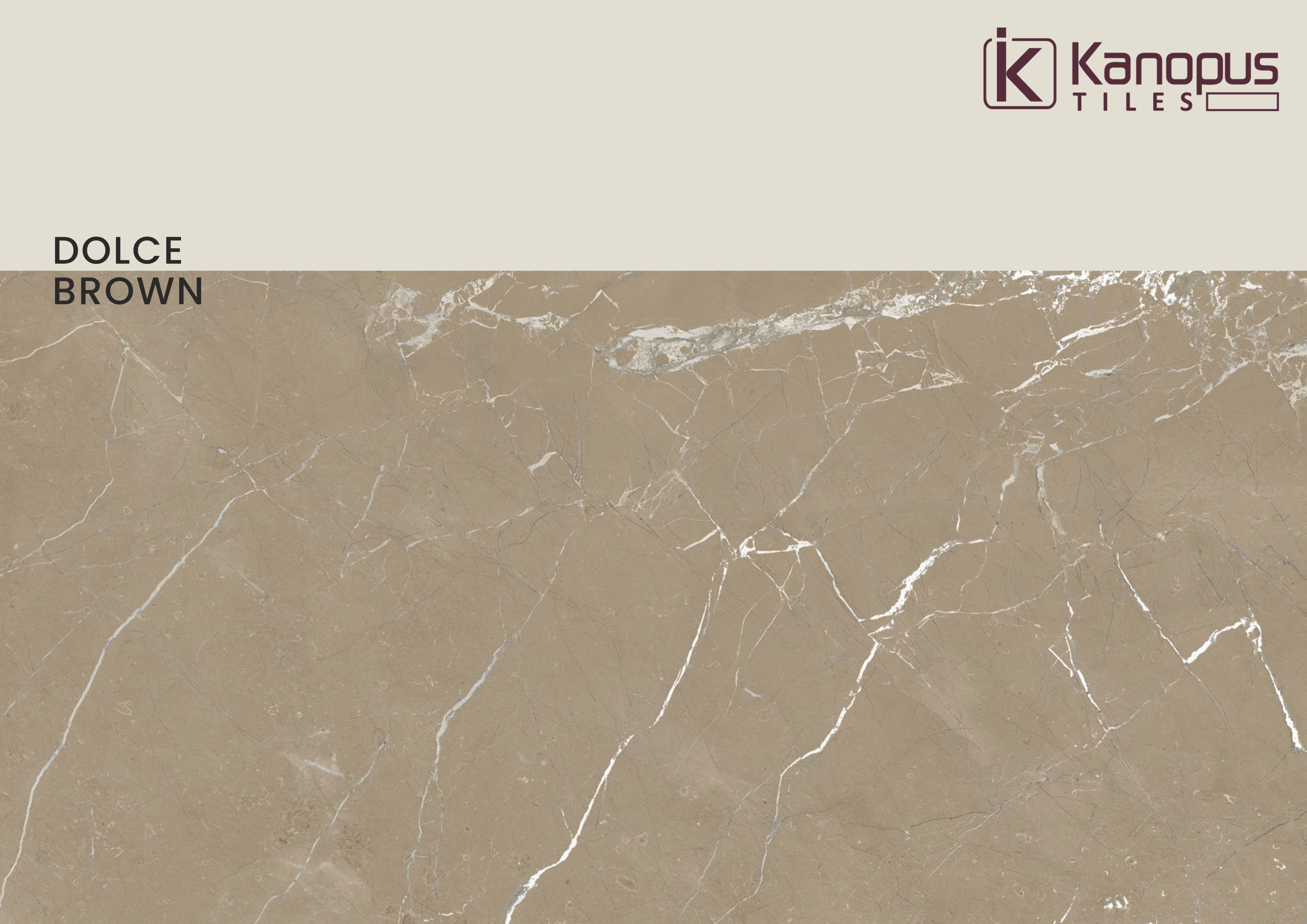 New Latest Production And Best Selling Of Budget Price Matt Surface With High Quality Tiles For Home Decoration