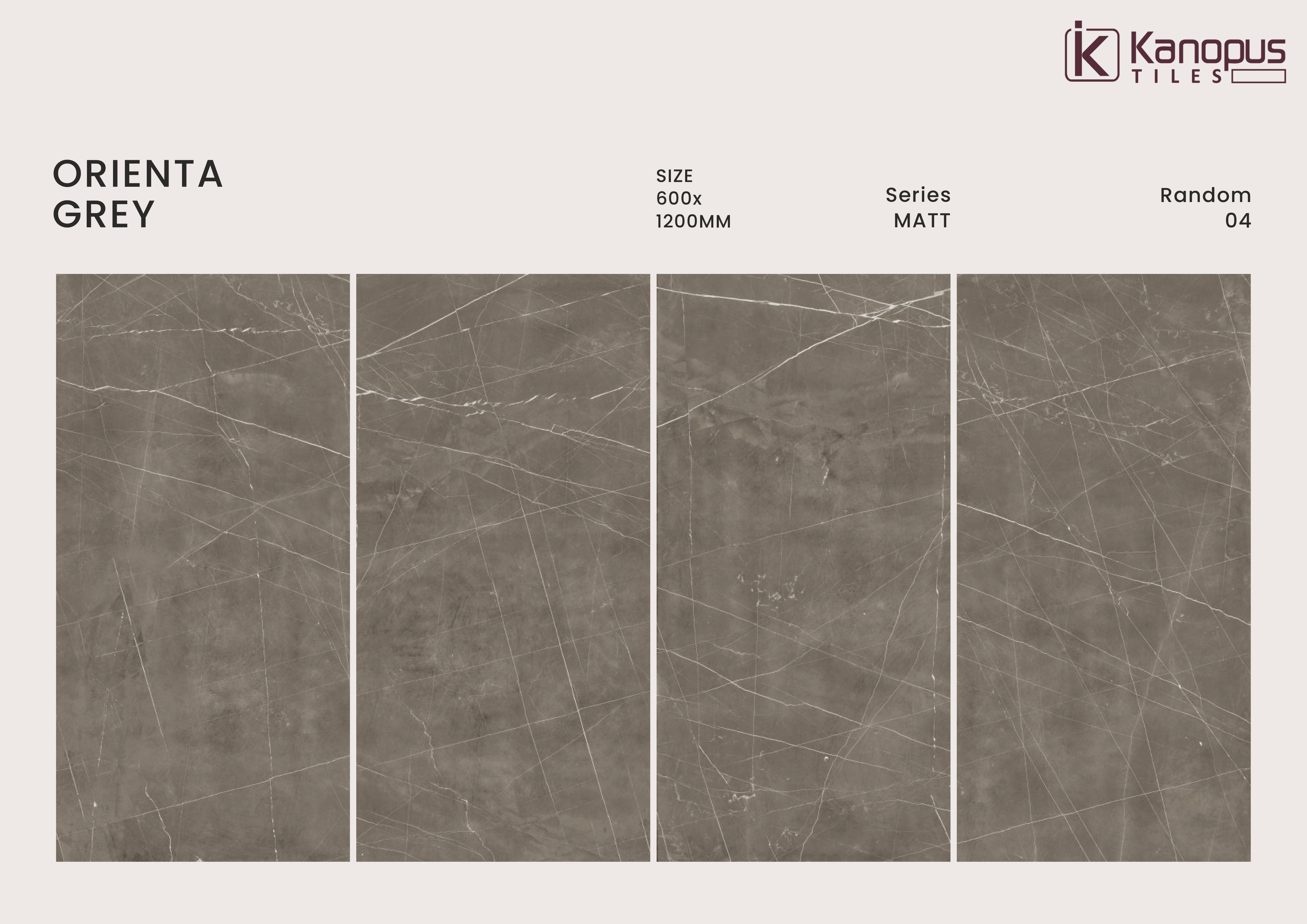 Premium quality 60cm x 120cm matt  finish porcelain tiles for Kitchen wall tile for flooring polished glazed wall