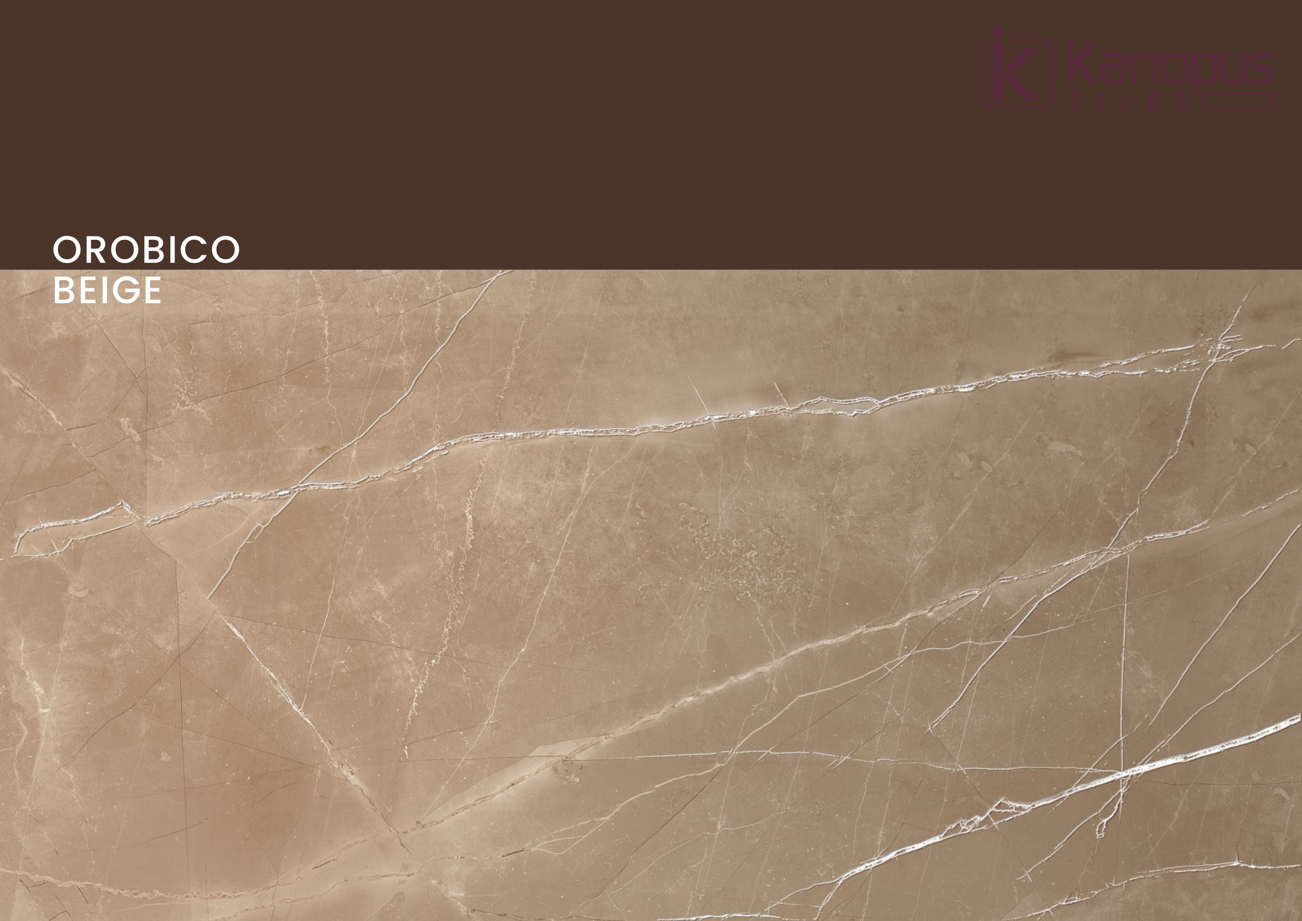 Premium quality 60cm x 120cm matt  finish porcelain tiles for Kitchen wall tile for flooring polished glazed wall