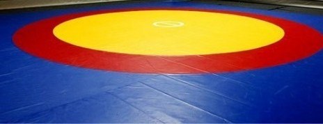 High quality competition training PVC material  wrestling mats with cover Professional Wrestling mats