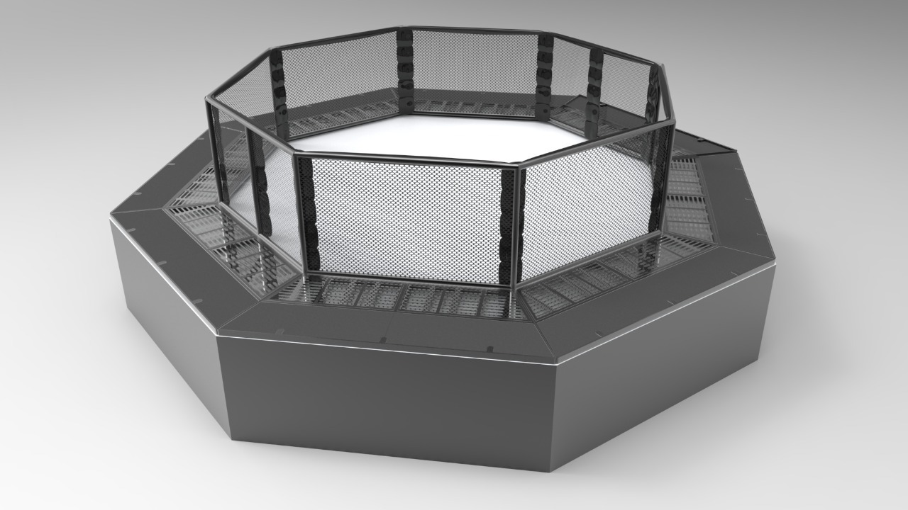 Top Quality Manufactured Competition MMA Cage octa & square MMA cage customized size for competition  MMA Cage -RXN manufacturer