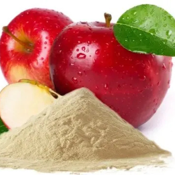 Spray Dried  Apple Extract Powder Reasonable Price 100% Organic  Apple Powder In Bulk Quantity Apple fruit powder from India