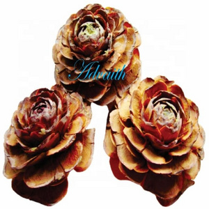 cedar rose Natural  picks natural interest and texture to a floral display or dried flower arrangement wood cedar