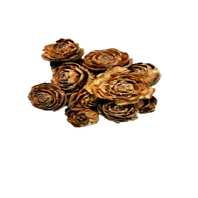 cedar rose Natural  picks natural interest and texture to a floral display or dried flower arrangement wood cedar