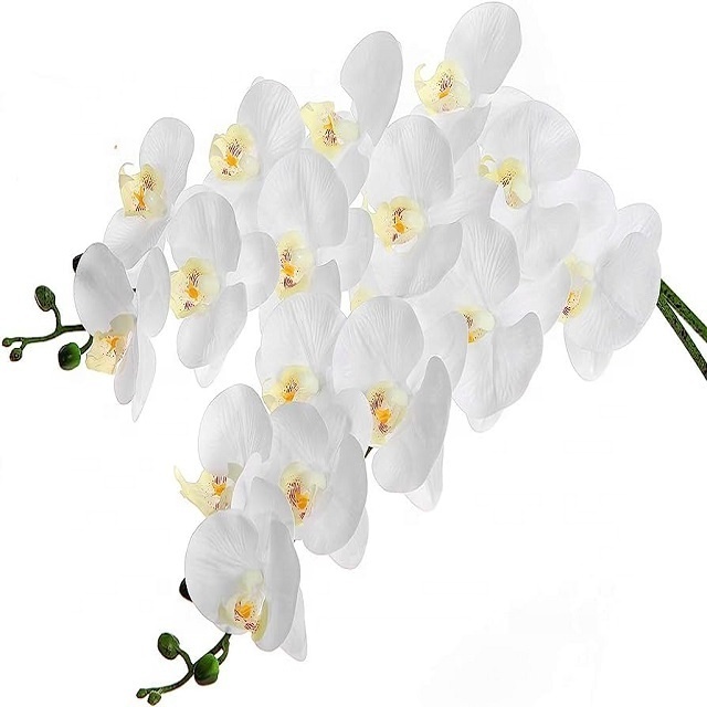 Orchid Stems  Artificial silk Moth orchid plants Butterfly Orchid Flower Phalaenopsis Amabilis for Home Wedding Decoration