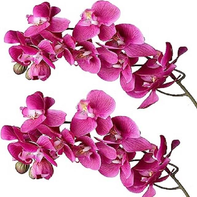 Orchid Stems  Artificial silk Moth orchid plants Butterfly Orchid Flower Phalaenopsis Amabilis for Home Wedding Decoration