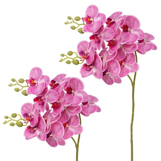 Orchid Stems  Artificial silk Moth orchid plants Butterfly Orchid Flower Phalaenopsis Amabilis for Home Wedding Decoration