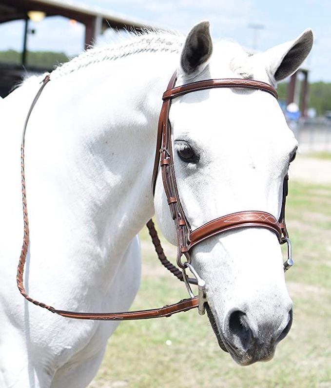 Horse Leather Huntley Equestrian Fancy Stitched Sedgwick Leather English Bridle and Reins wholesale premium leather high quality