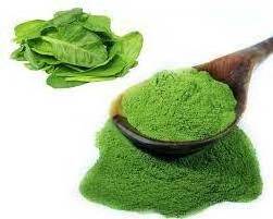 Red spinach extract Factory Supply Best quality 100%  Dehydrated Vegetable red Spinach extract Powder Best price