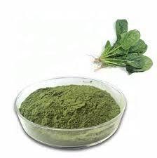 Red spinach extract Factory Supply Best quality 100%  Dehydrated Vegetable red Spinach extract Powder Best price