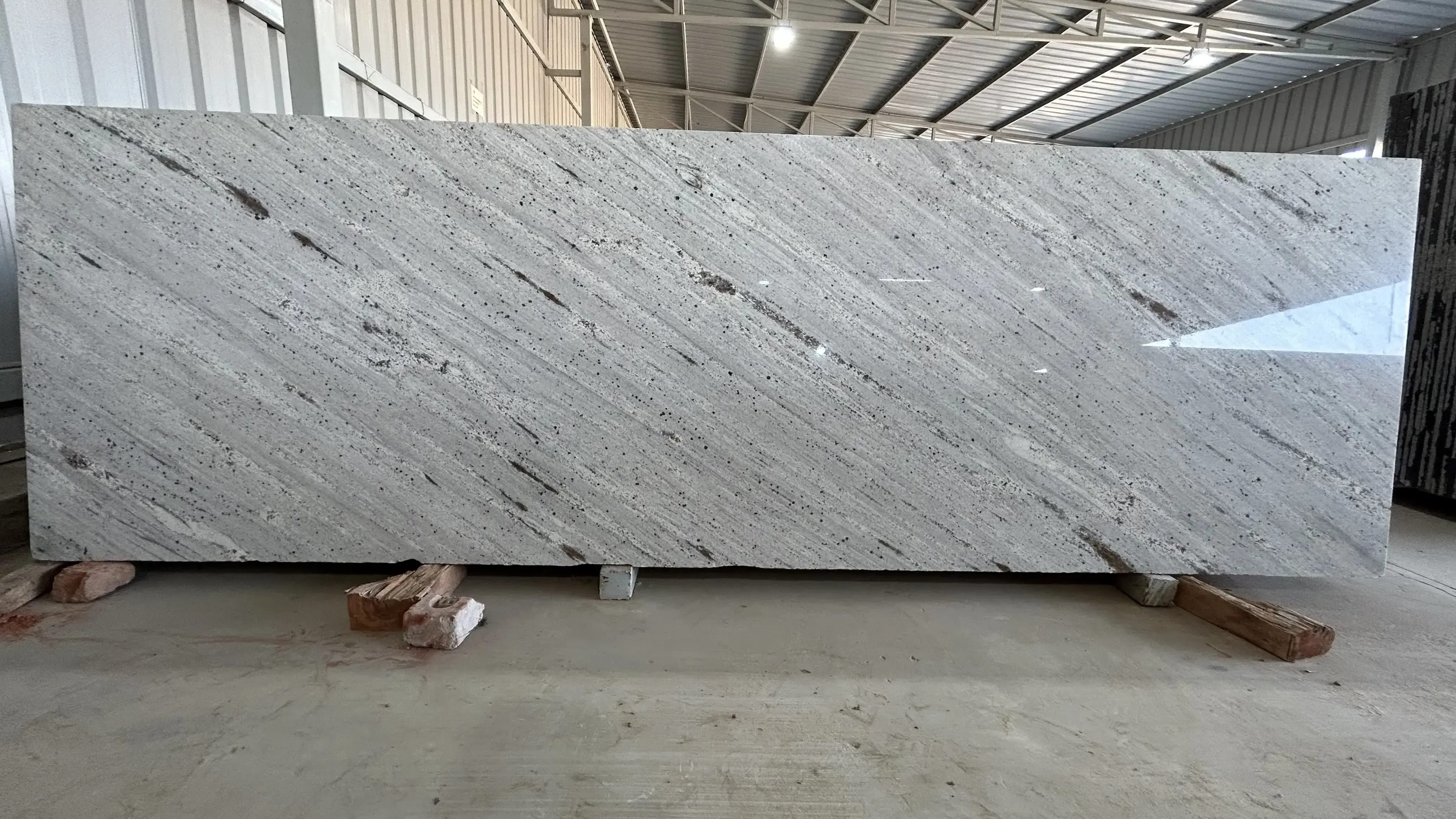 High on Demand Millenium Cream South Granite Slabs Specially Good for Countertops Monuments from India