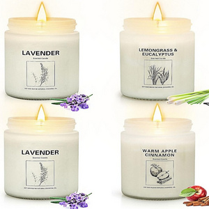 Handmade Candles for Home Scented Candles 200 Hour Long Lasting Natural Soy Candles