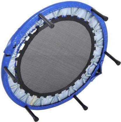 Premium Fitness Trampoline for Adults and Kids Rebounder Trampoline with Padding & Springs Elastic Safe for Indoor  & Outdoor