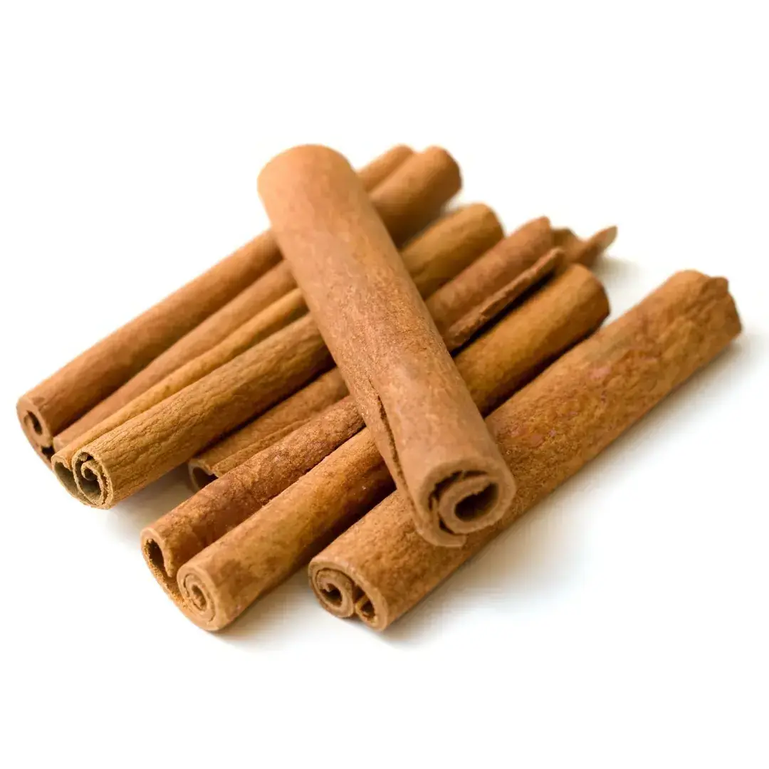 Indian Spice & Herbs Gourmet Cinnamon Stick Bundle Enhance Your Cooking Experience for Worldwide Supply from India