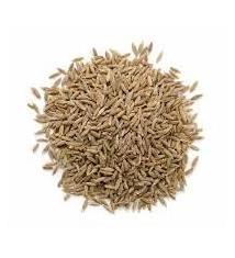 100% Natural Single Spices & Herbs Cumin Spice for Cooking use Cumin Available for Sale from India