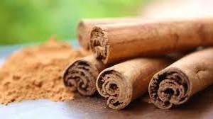 Direct Factory Supply Organic Cinnamon Bark Sticks Pure and Natural Flavor Enhancer for Worldwide Supply from India